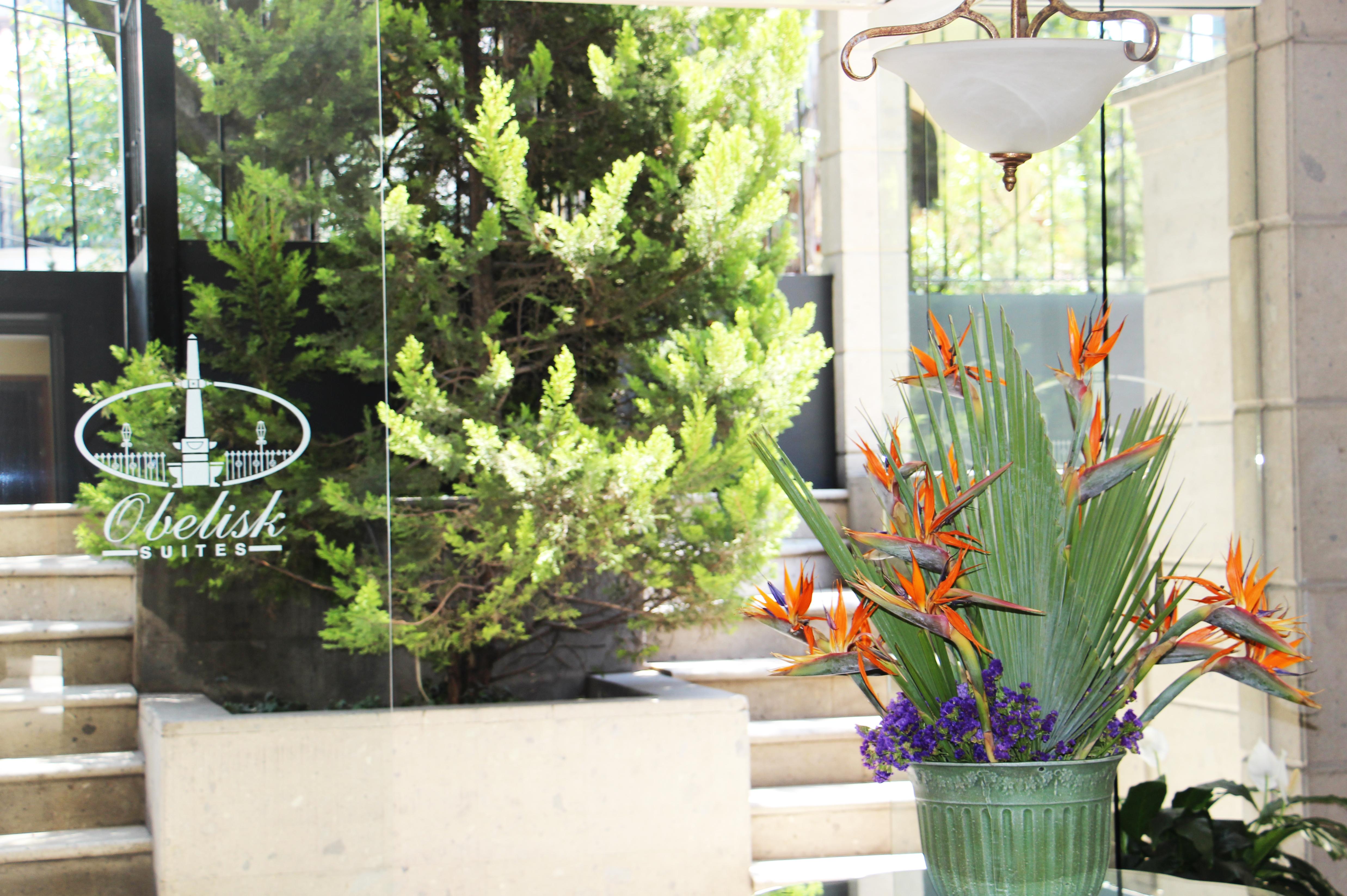 Suites Obelisk เม็กซิโกซิตี้ ภายนอก รูปภาพ